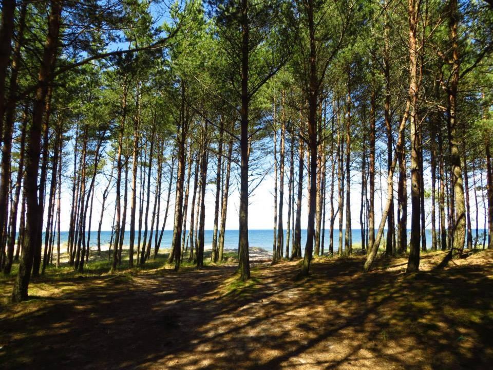 Domki Wczasowe Mielenko Zewnętrze zdjęcie